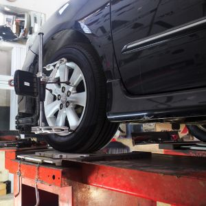 Light Vehicle Filters Qatar