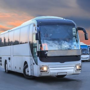 Truck Bus Filters Qatar